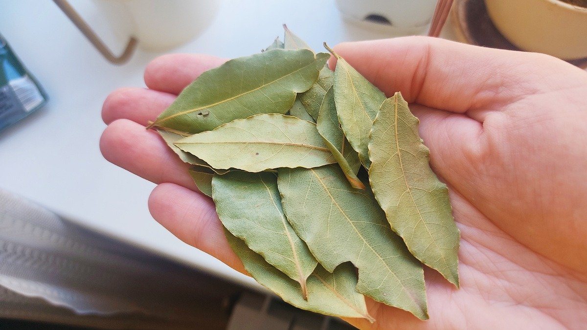 Vavřínový list pod postelí: zázračný trik, který se stále častěji používá