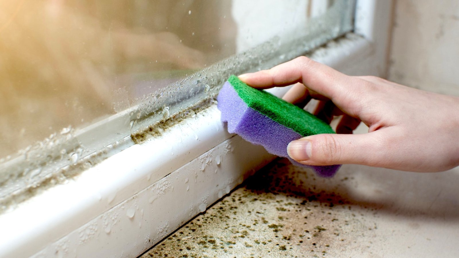 V domě se objevil zápach vlhkosti. Co je potřeba udělat, aby se problém rychle vyřešil?