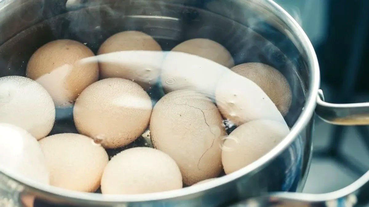 Jak správně vychladit vařená vejce: tajemství dokonalých výsledků 2 Jak správně vychladit vařená vejce: tajemství dokonalých výsledků