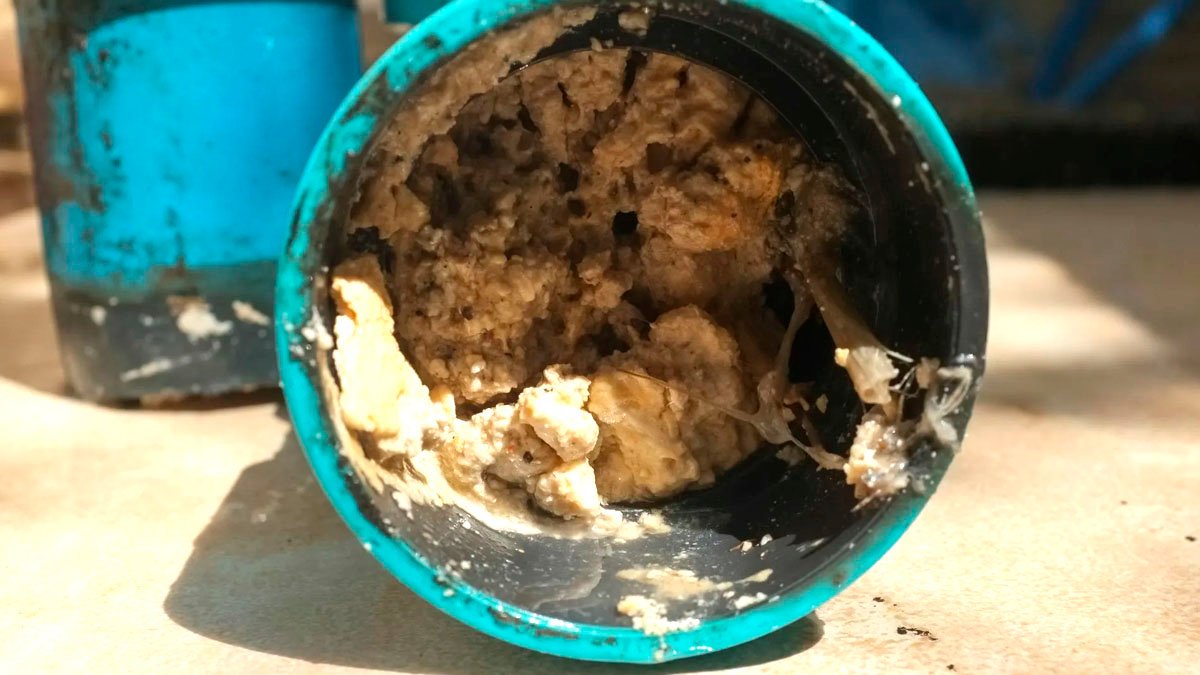 Zbytky oleje ze smažení: kam s ním, když ho nesmíte vylít do záchodu