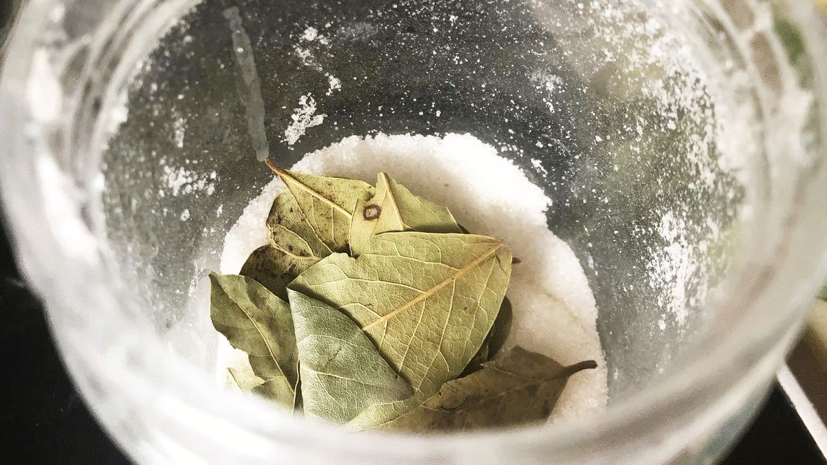 Smíchání bobkových listů a jedlé sody: k čemu je to dobré a proč se to doporučuje