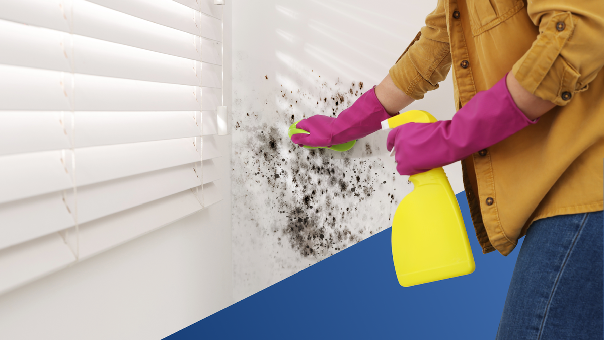 Jak se zbavit vlhkosti v domě bez odvlhčovače: nejúčinnější prostředky 1 Jak se zbavit vlhkosti v domě bez odvlhčovače: nejúčinnější prostředky