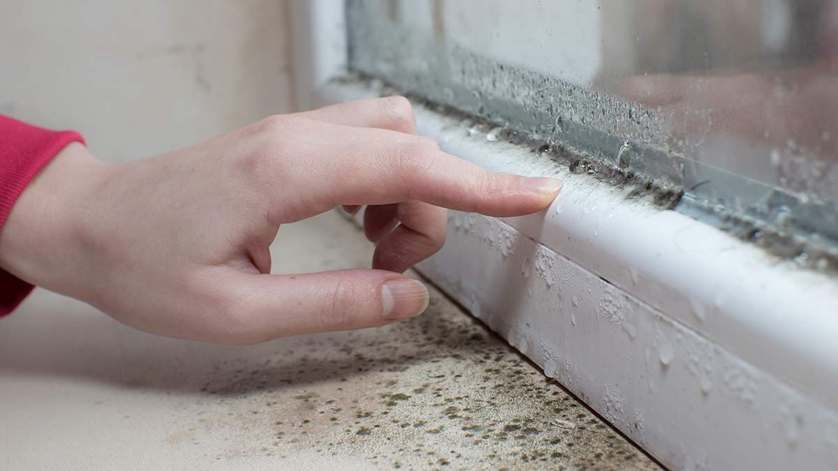 Jak se zbavit vlhkosti v domě bez odvlhčovače: nejúčinnější prostředky 2 Praktické tipy pro sušší domov