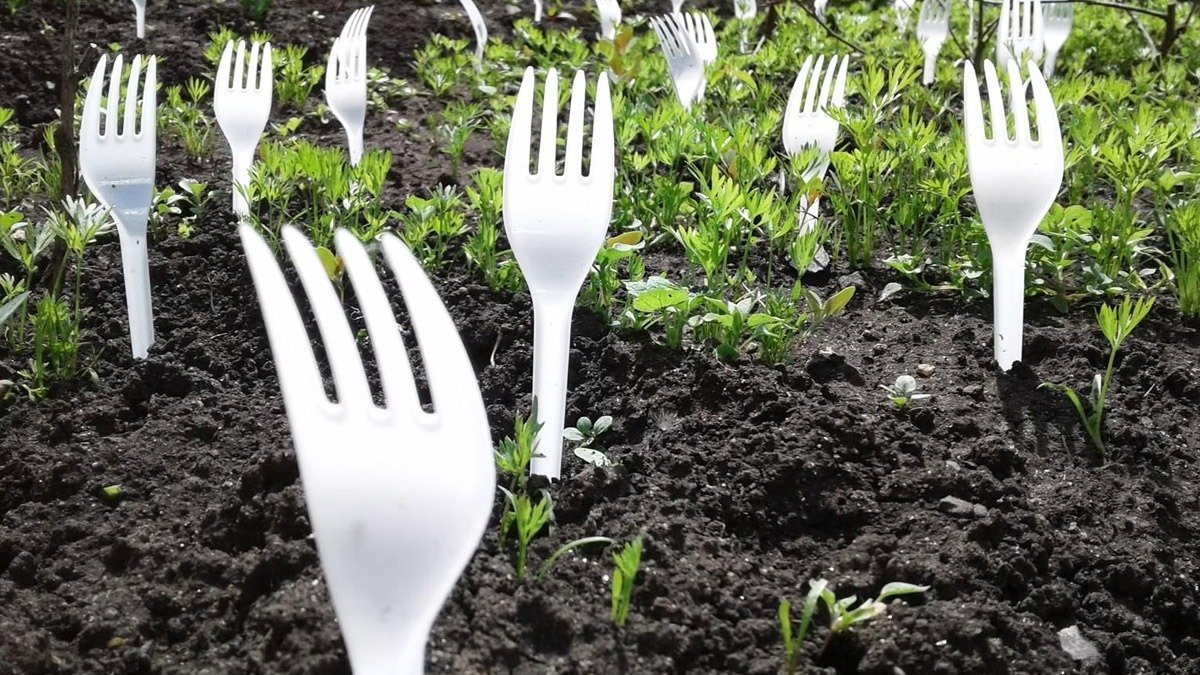 Zahrádkáři zapichují plastové vidličky do záhonů – a je to ve skutečnosti chytřejší, než se zdá