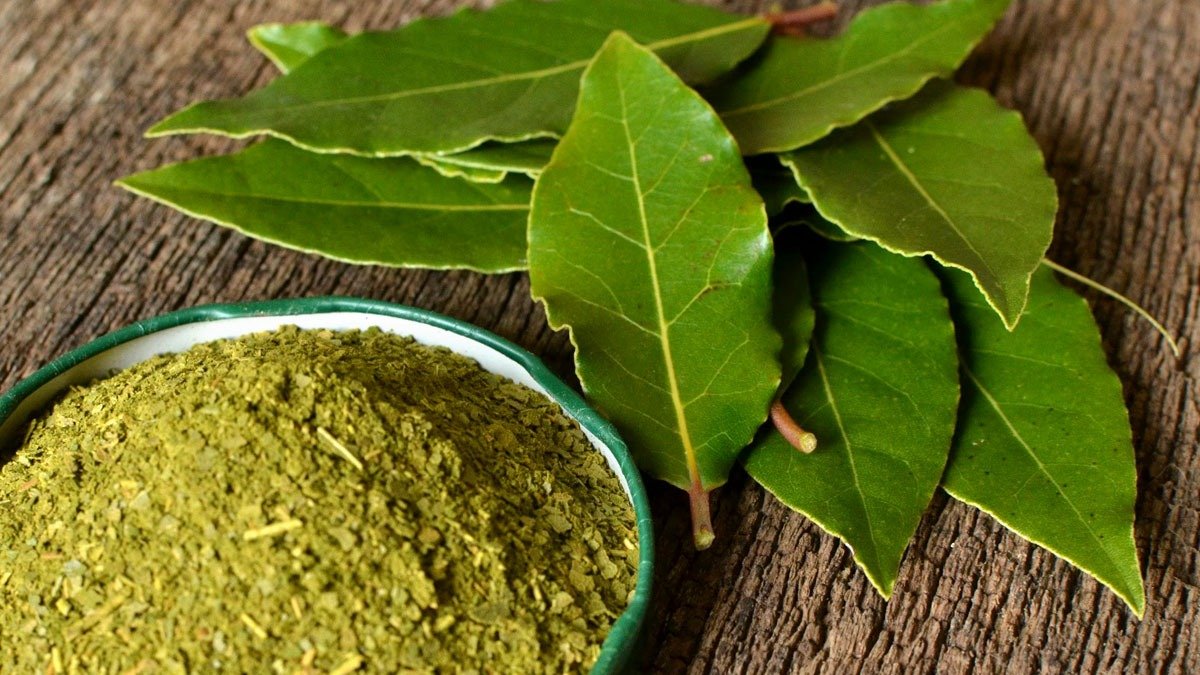 Proč se doporučuje vyhazovat drcené bobkové listy do odpadu dřezu a jaké to má výhody?