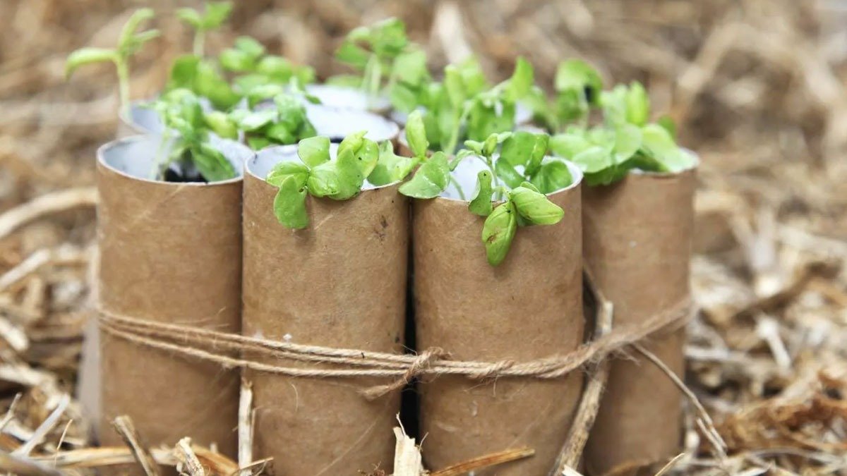 Ruličky od toaletního papíru si hlídám jako oko v hlavě: takto je využívám – velmi užitečná věc pro řešení mnoha problémů