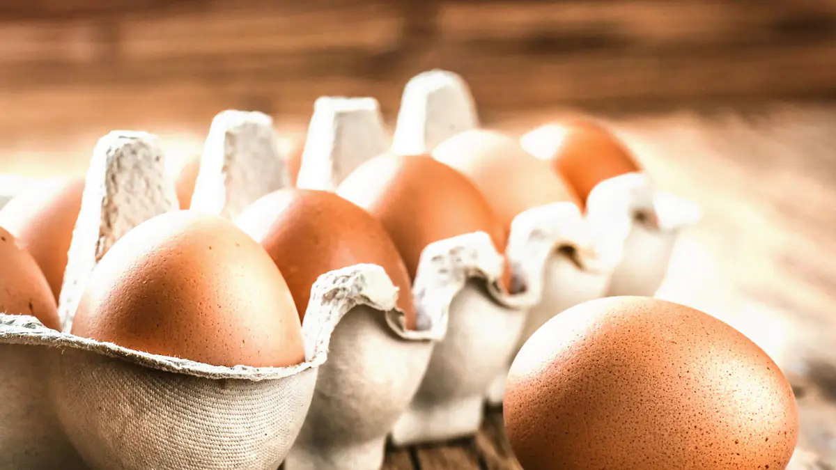 Ani smažená, ani míchaná: správný způsob, jak vařit vejce a využít všechny jejich živiny