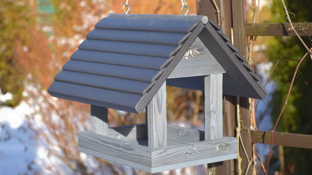 Úprava ptačího budníku: malá změna pro přilákání ptáků tuto zimu