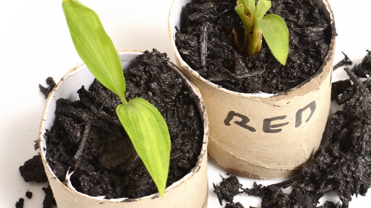 Ruličky od toaletního papíru si hlídám jako oko v hlavě: takto je využívám – velmi užitečná věc pro řešení mnoha problémů