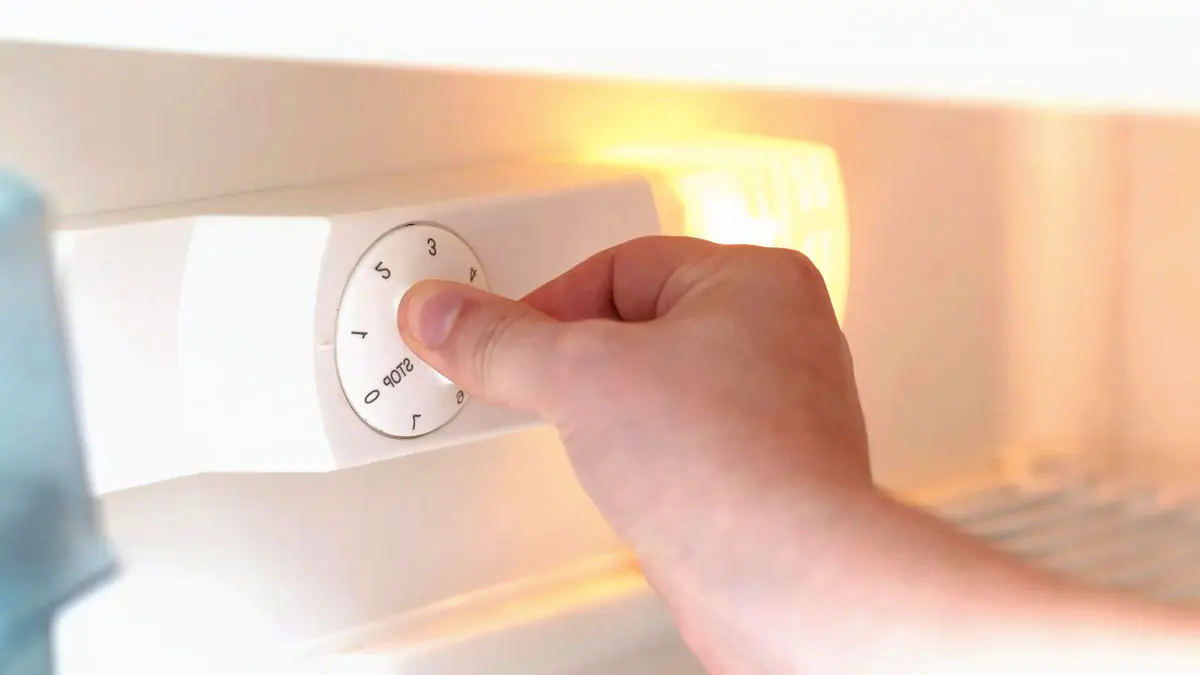 Jaká je ideální teplota v lednici, abyste ušetřili peníze