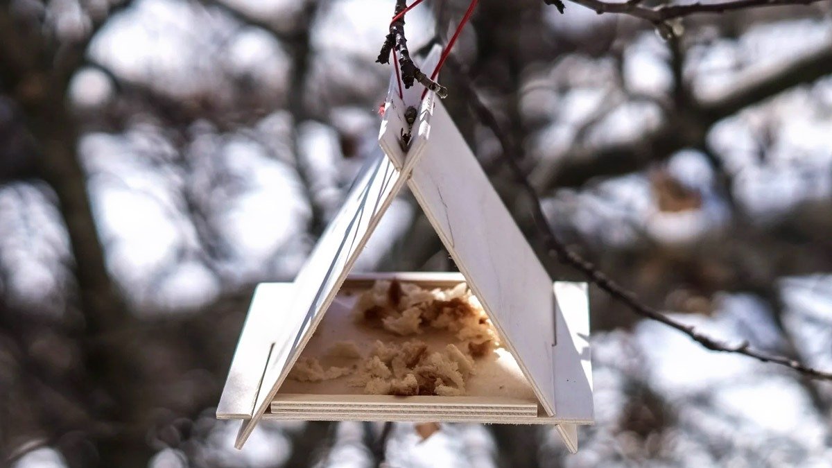 Zahradníci, jednejte nyní kvůli červenkám: levná surovina z kuchyně za pár korun, kterou byste měli nasypat ještě dnes večer