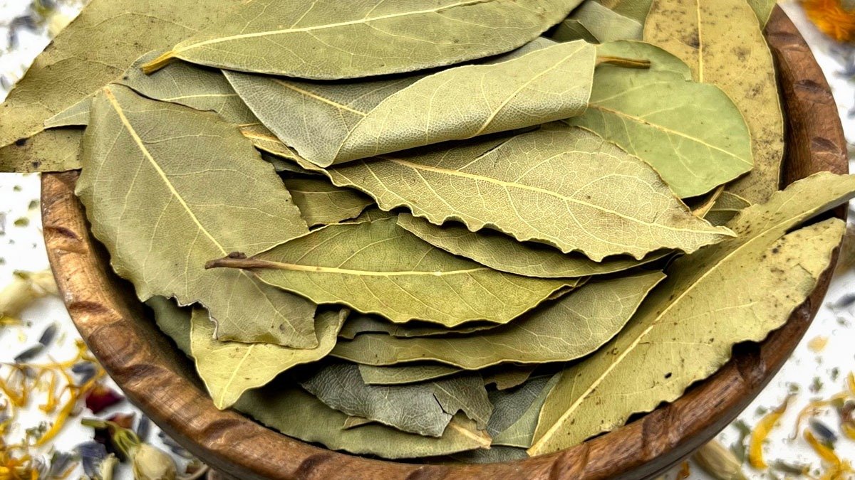 Proč se doporučuje vyhazovat drcené bobkové listy do odpadu dřezu a jaké to má výhody?