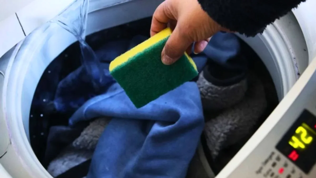Dát houbičku na mytí nádobí do pračky: proč to doporučují