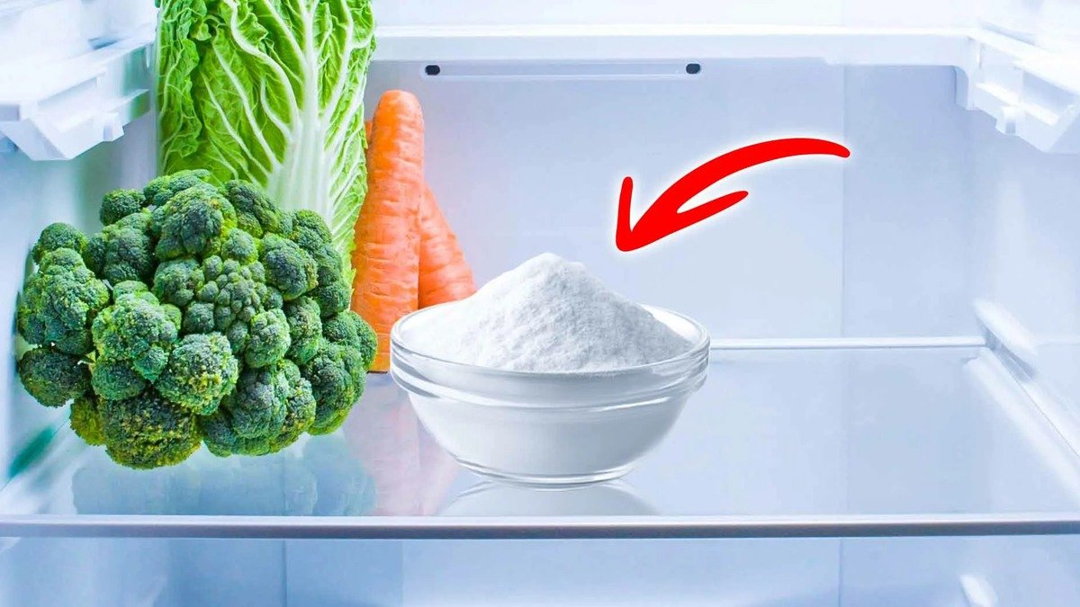 Zapachy v lednici se nemíchají, ale mizí funguje osvědčený kuchyňský pomocník