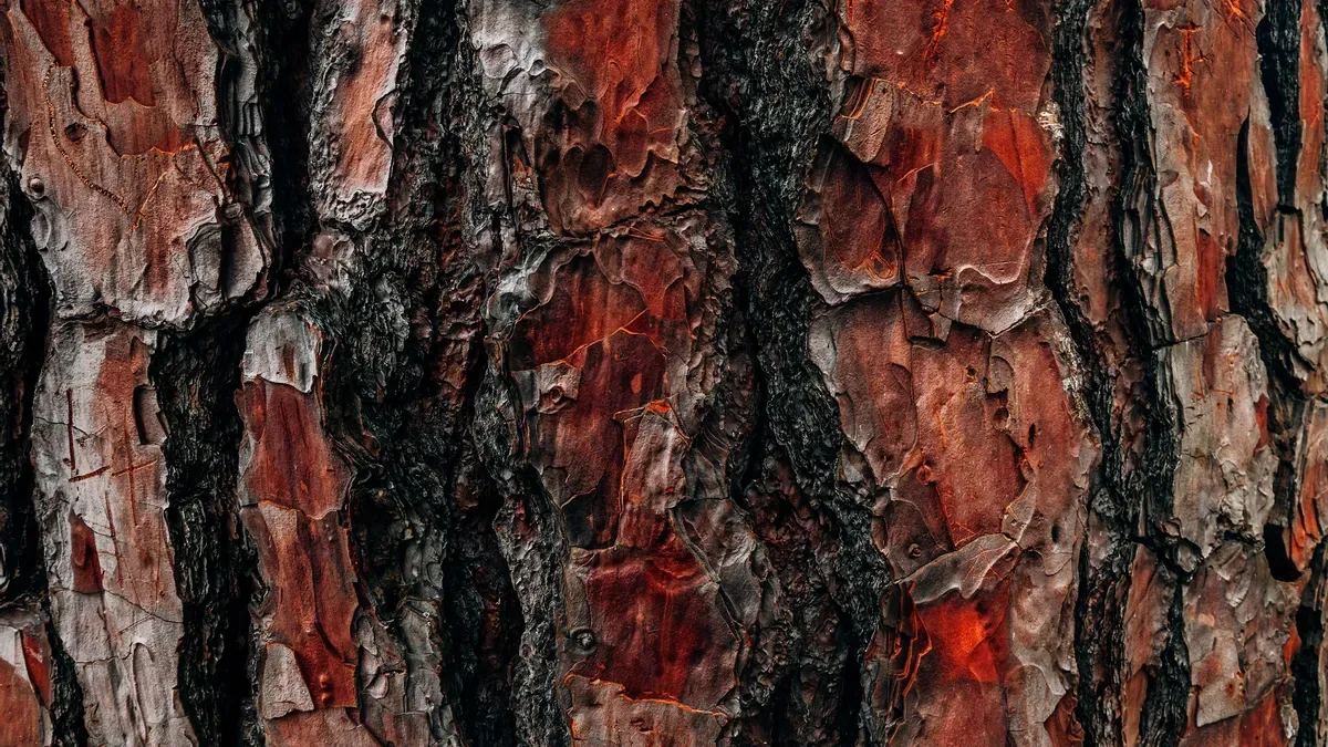 Rady pro zahrádkáře: Červená kůra i larvy v kompostu 2 Rady pro zahrádkáře: Červená kůra i larvy v kompostu