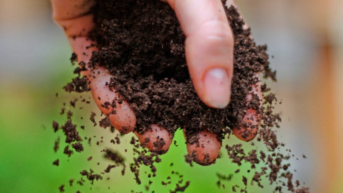 Stačí jedna lžíce: proto stále více lidí sype kávovou sedlinu do toalety