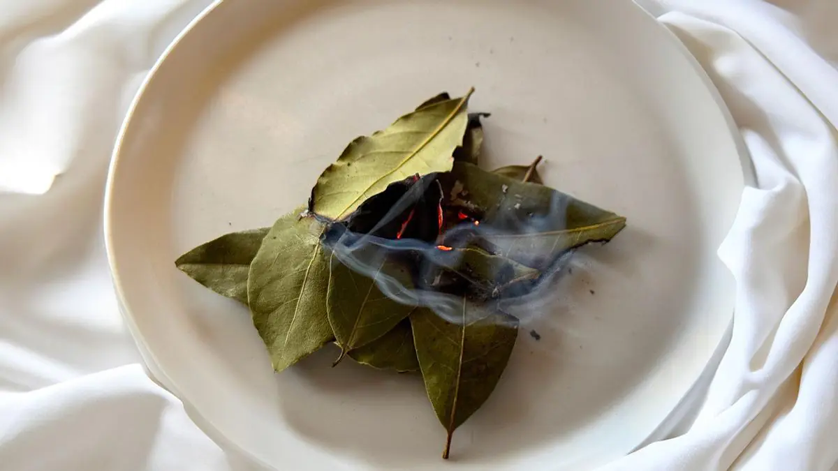 V konci března jsem v bytě spálil několik bobkových listů – mnozí ani netuší, proč se to dělá