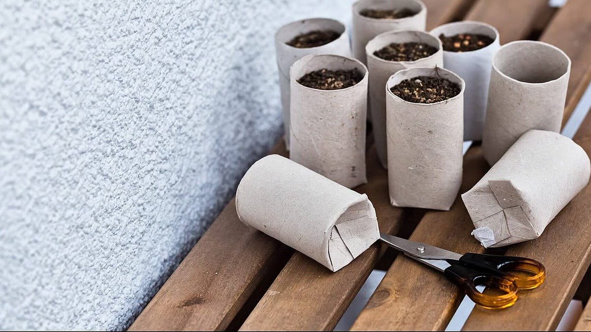 Nevyhazuji ruličky od toaletního papíru, ale střežím je jako oko v hlavě: 3 způsoby, jak je využít doma